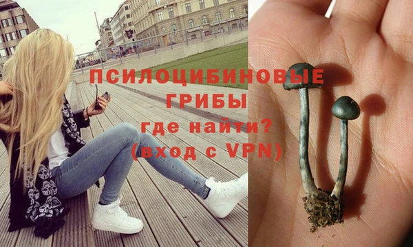 PSILOCYBIN Верхний Тагил