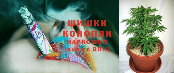 стафф Верея