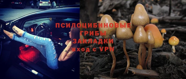 стафф Верея