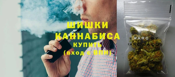 PSILOCYBIN Верхний Тагил